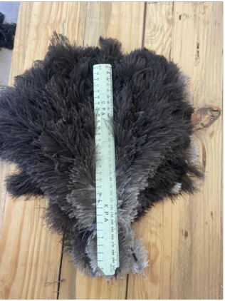 Male Medium Soft Body 20-40 cm