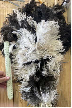 Byocks Ostrich Feathers 30-55 cm