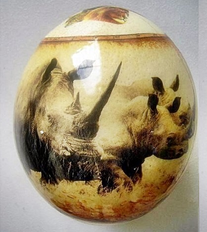Decorative Ostrich Egg Shell