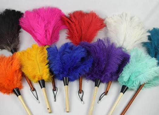 Decorative Ostrich Feather Duster