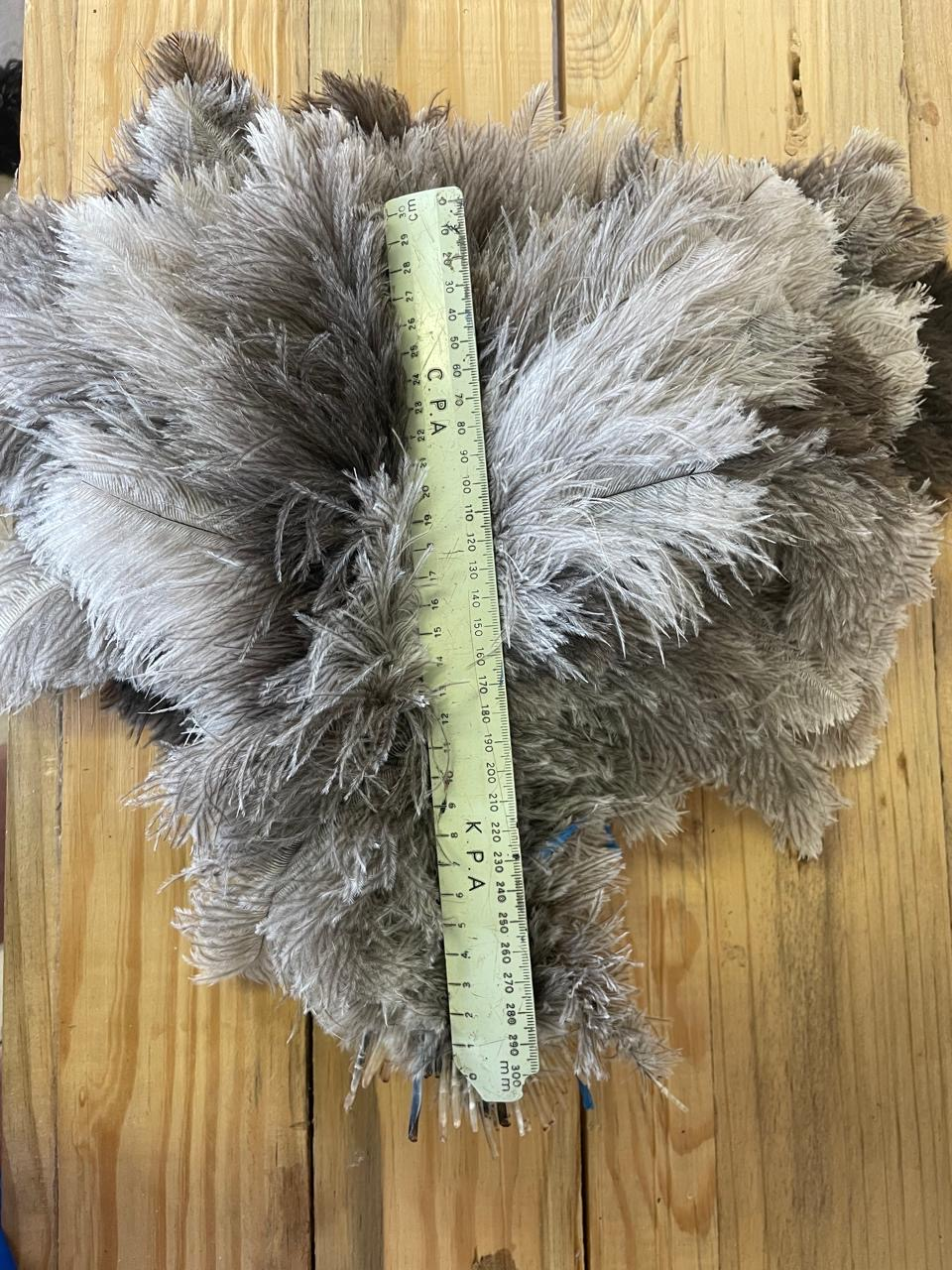 Female Floss 30-45 cm