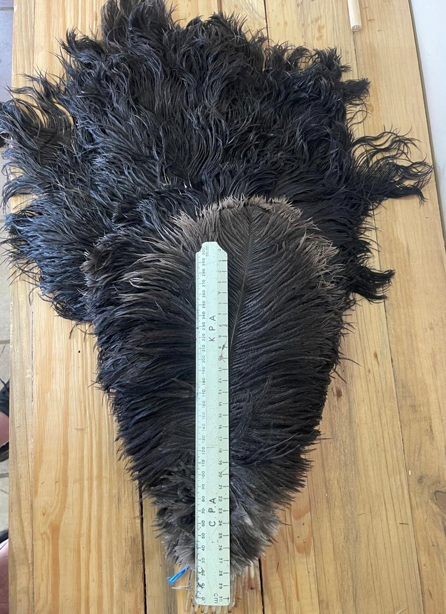 Female Long Body 40-65 cm