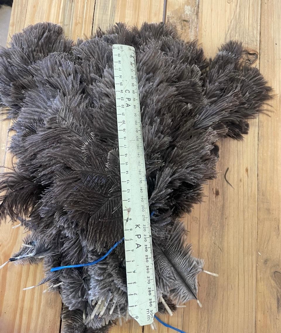Female Medium Soft Body 20-40 cm