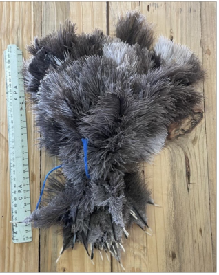 Female Short Body 15-25 cm