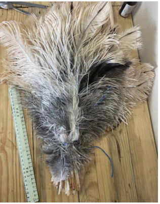 Female Ostrich Tails 20-45 cm