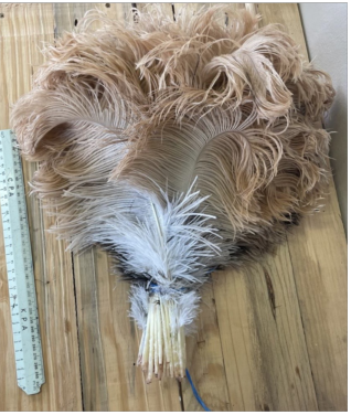Male Ostrich Tails 20-45 cm
