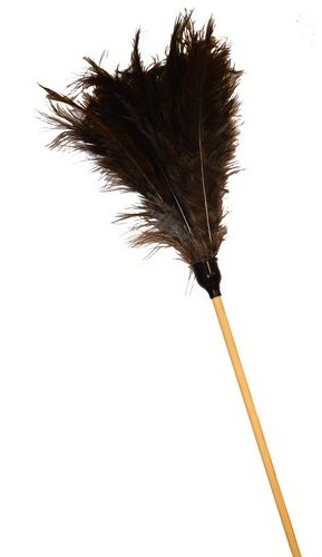 Premium Ostrich Feather Duster