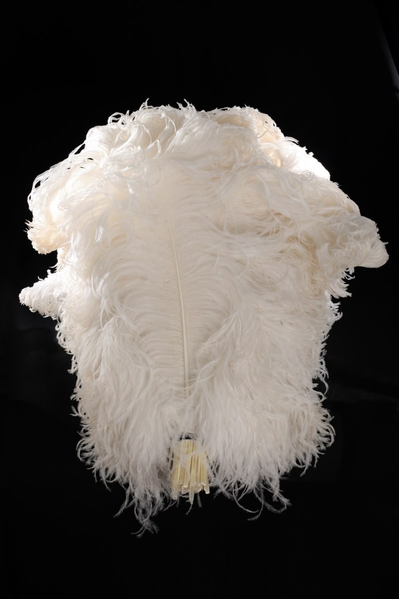 Ostrich Wings 45-80 cm